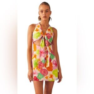 NWOT Peppermayo Blurred Blossom mini dress